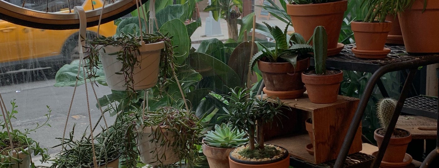 greenfingers,lestergreen green fingers market is one of the 15 best places for vintage