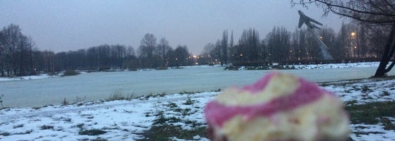Дрочит В Парке Авиаторов Санкт Петербург