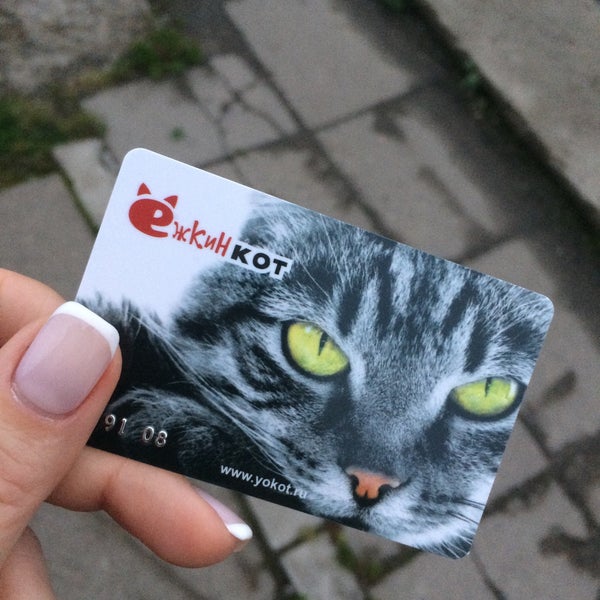 Ежкин Кот Рф Магазины