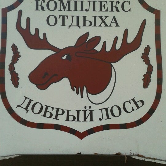 Магазин Лось Калининград Официальный Сайт