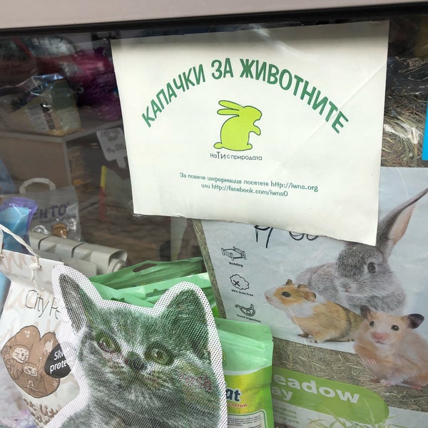 Сайт Зоо43 В Кирове Магазин Интернет
