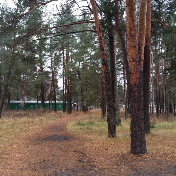 Мулино Нижегородская Область Фото Города — Фото Картинки