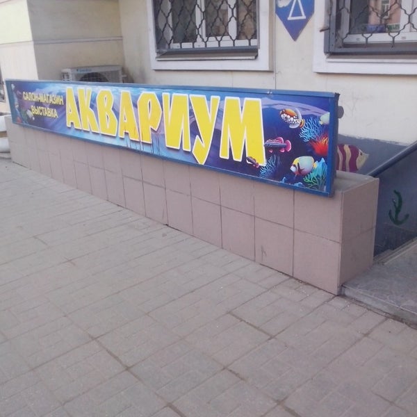 Магазин Аквариум Тверь Тверской Проспект Дни Работы Магазин Аквариум Тверь Тверской Проспект Дни Работы