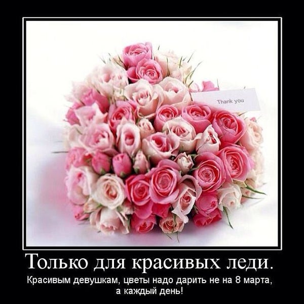 Цветы Без Повода Магазин