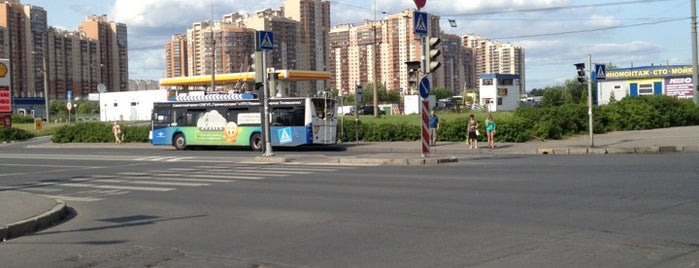 Проститутка На Комендантском Метро Улица Шаврова