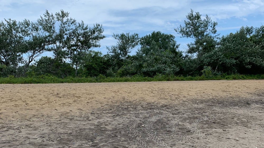 Illinois Beach State Park