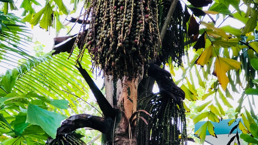 The Training Shed @ Labrador