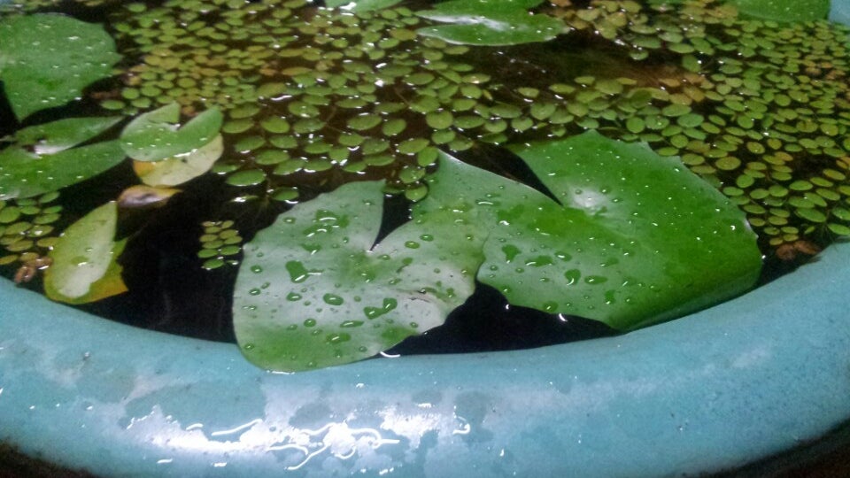 Apa Kaba Home & Stay