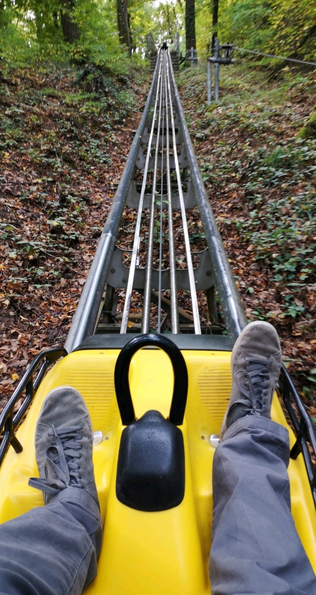theme-park