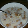 Skippack Breakfast Counter