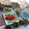 Defnenin Bahçesi