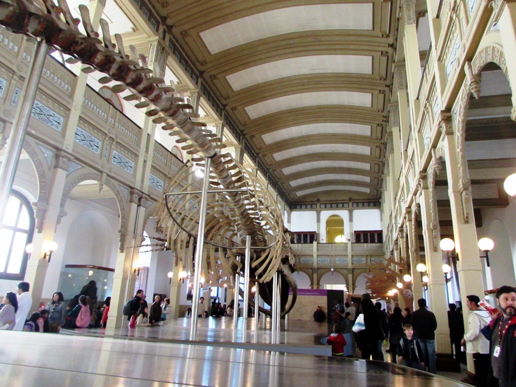 museum