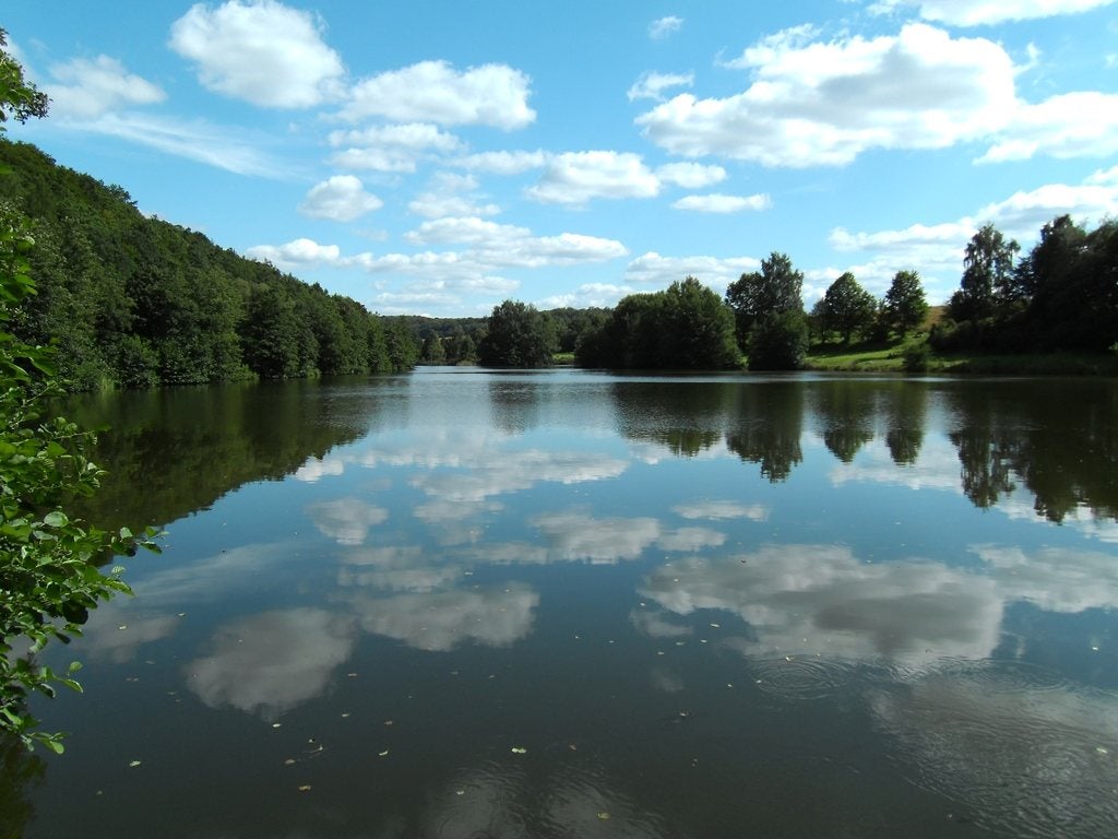photo of Kletterwald Taunus – Forest Adventures