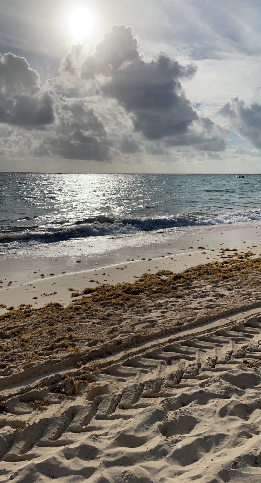 beach