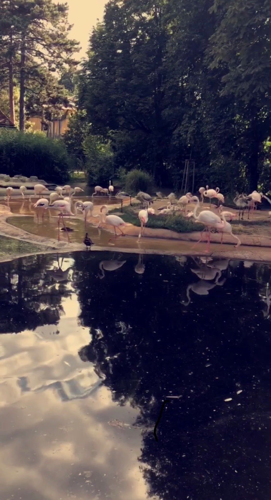 zoo-exhibit