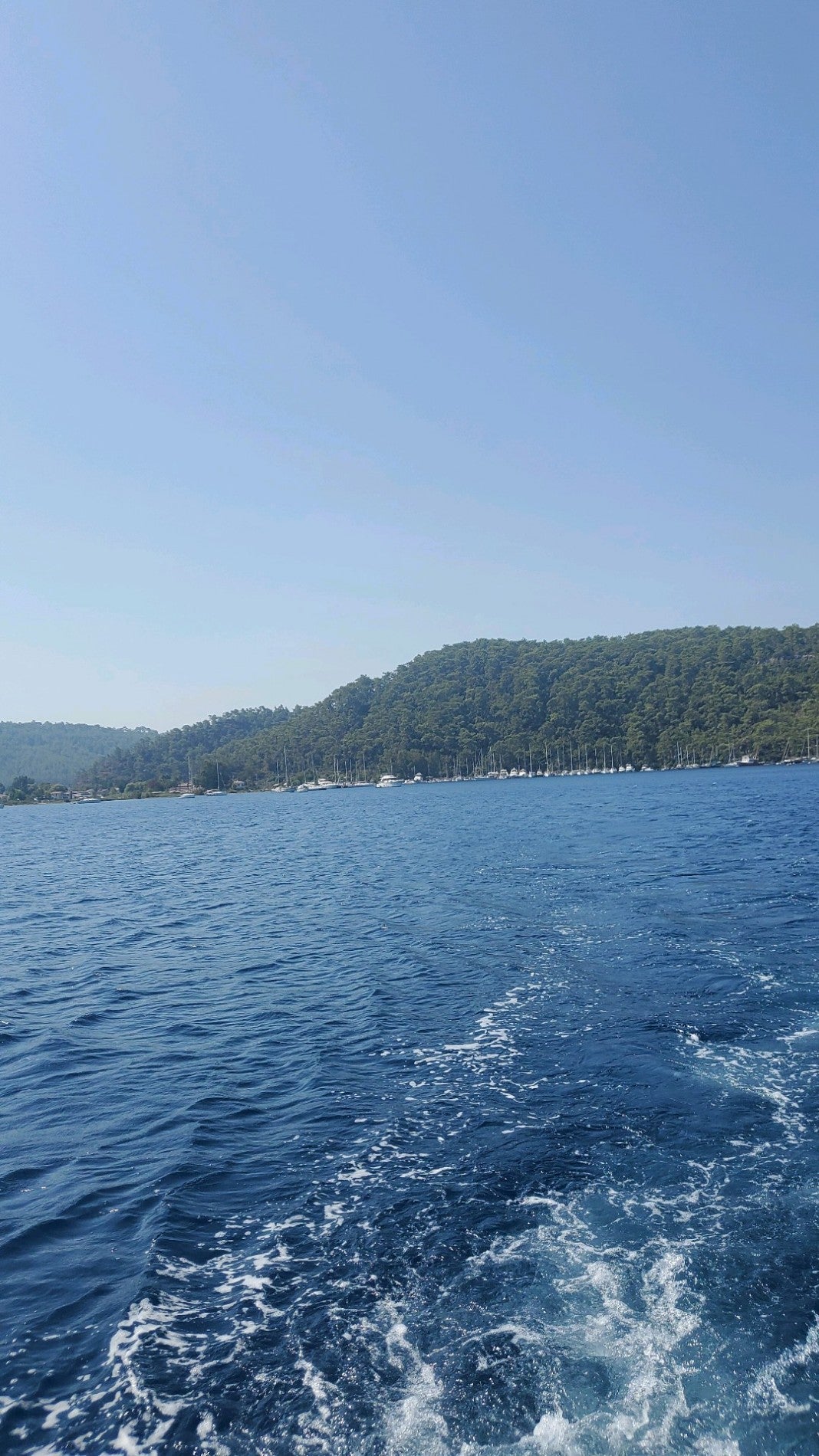 harbor-marina