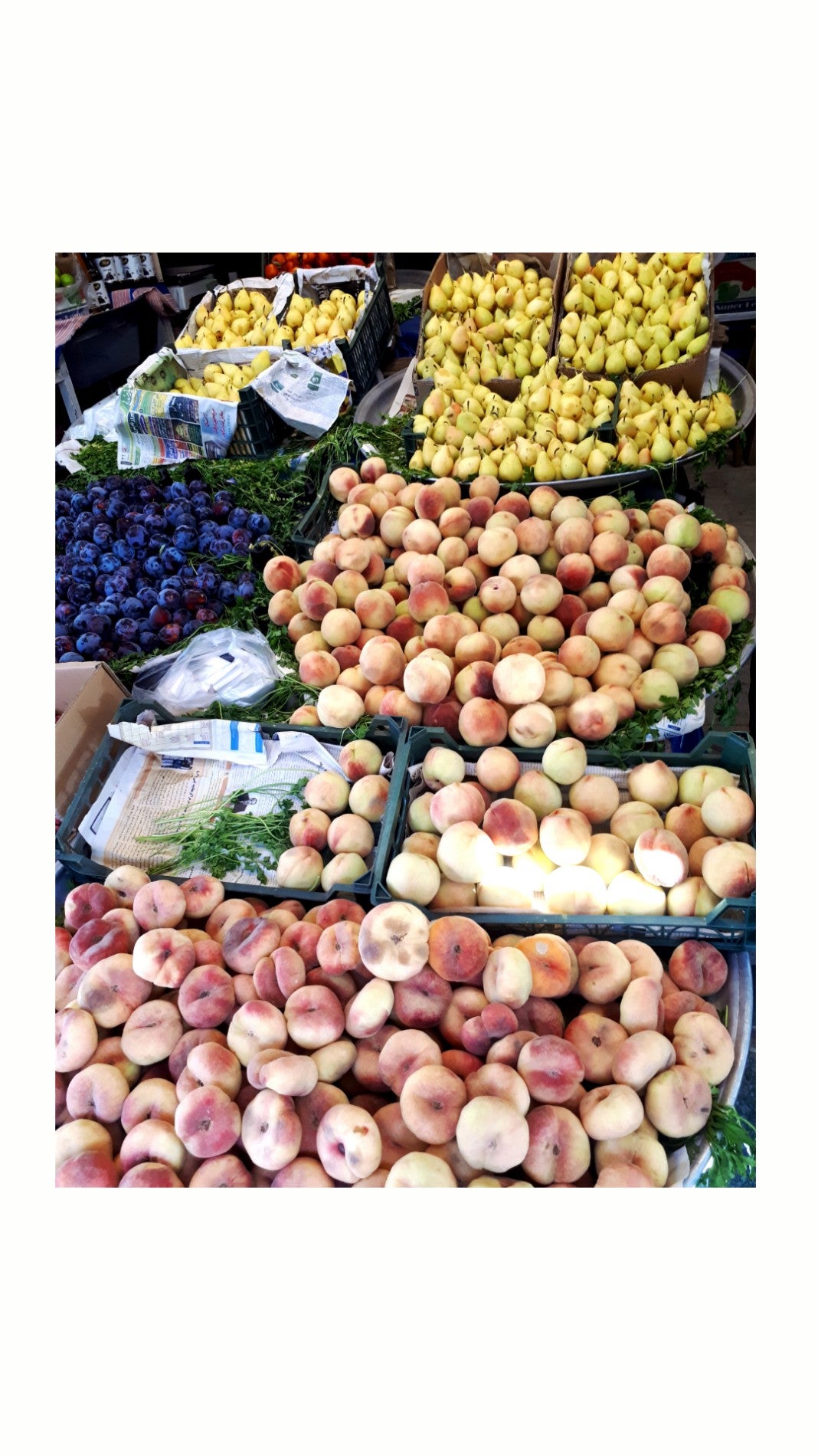 fruit-vegetable-store
