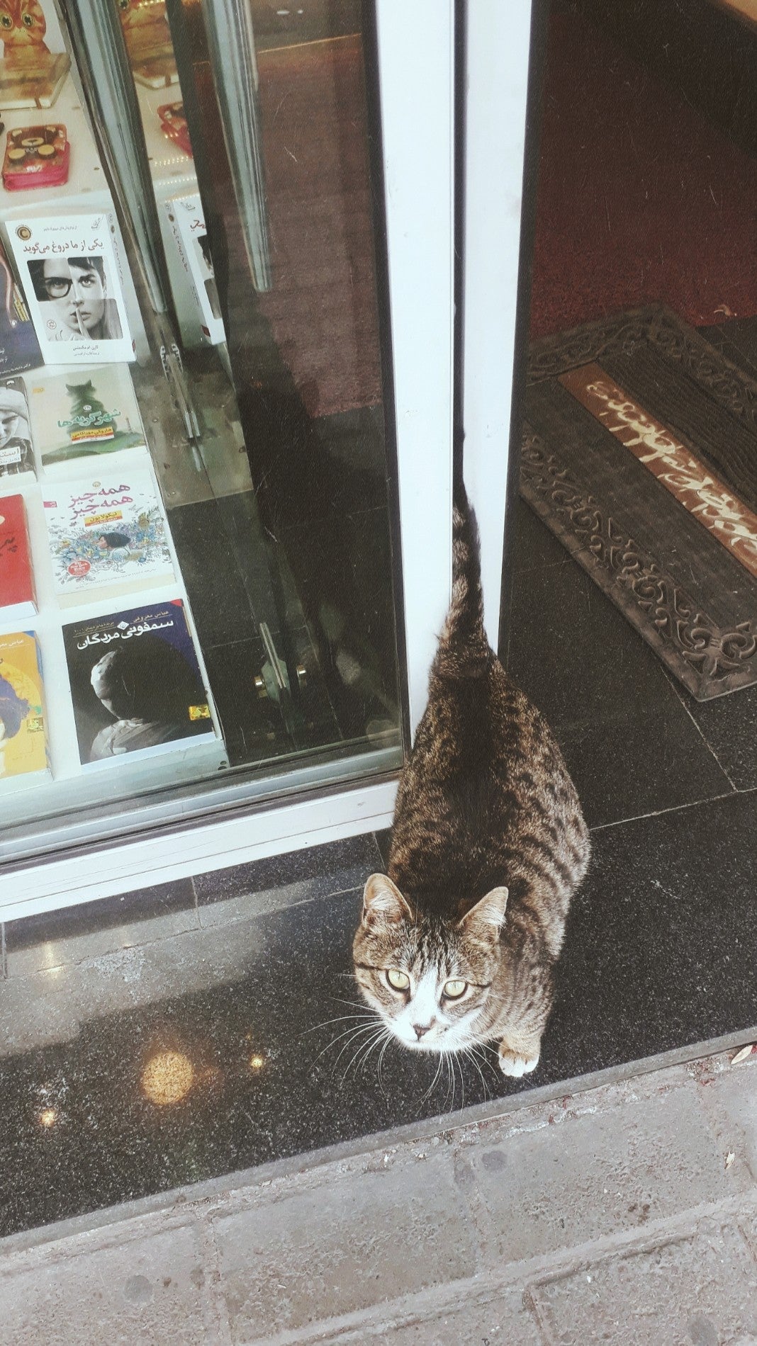 gift-shop