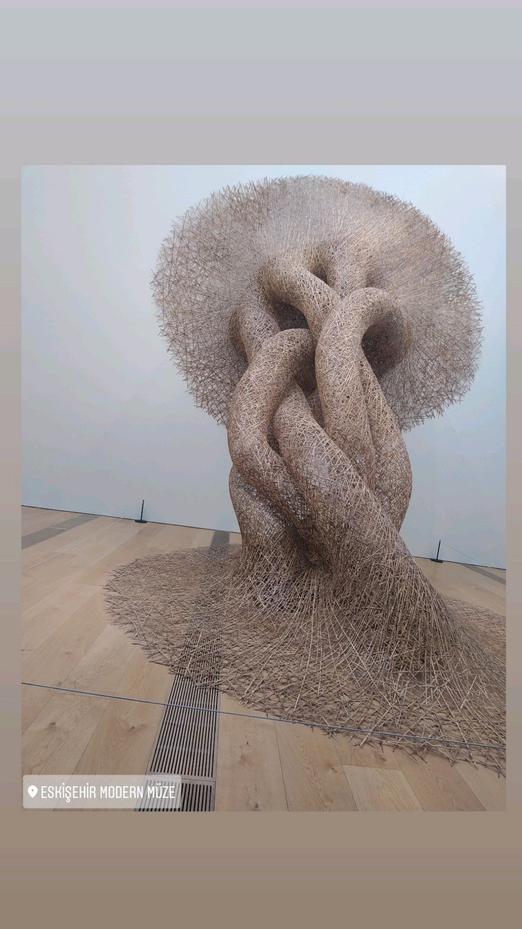 art-museum