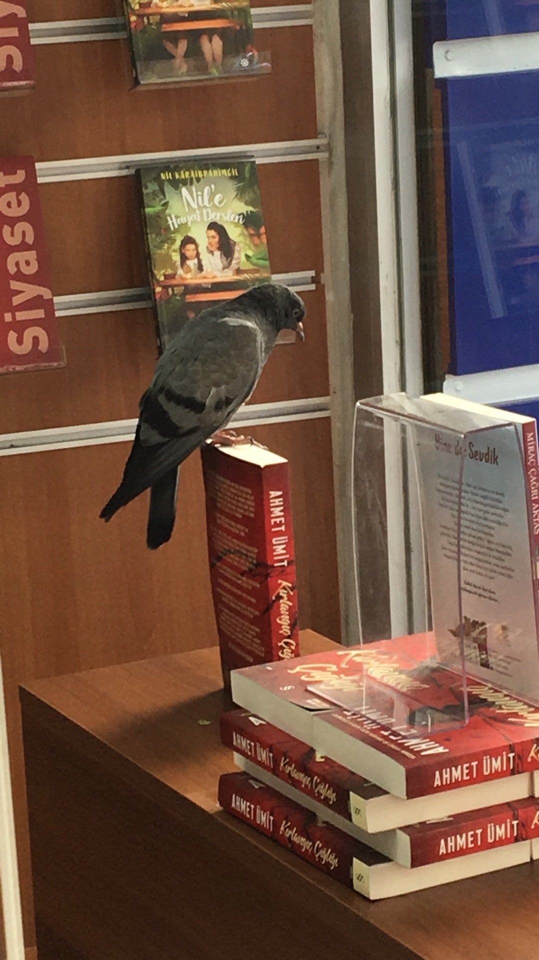 bookstore
