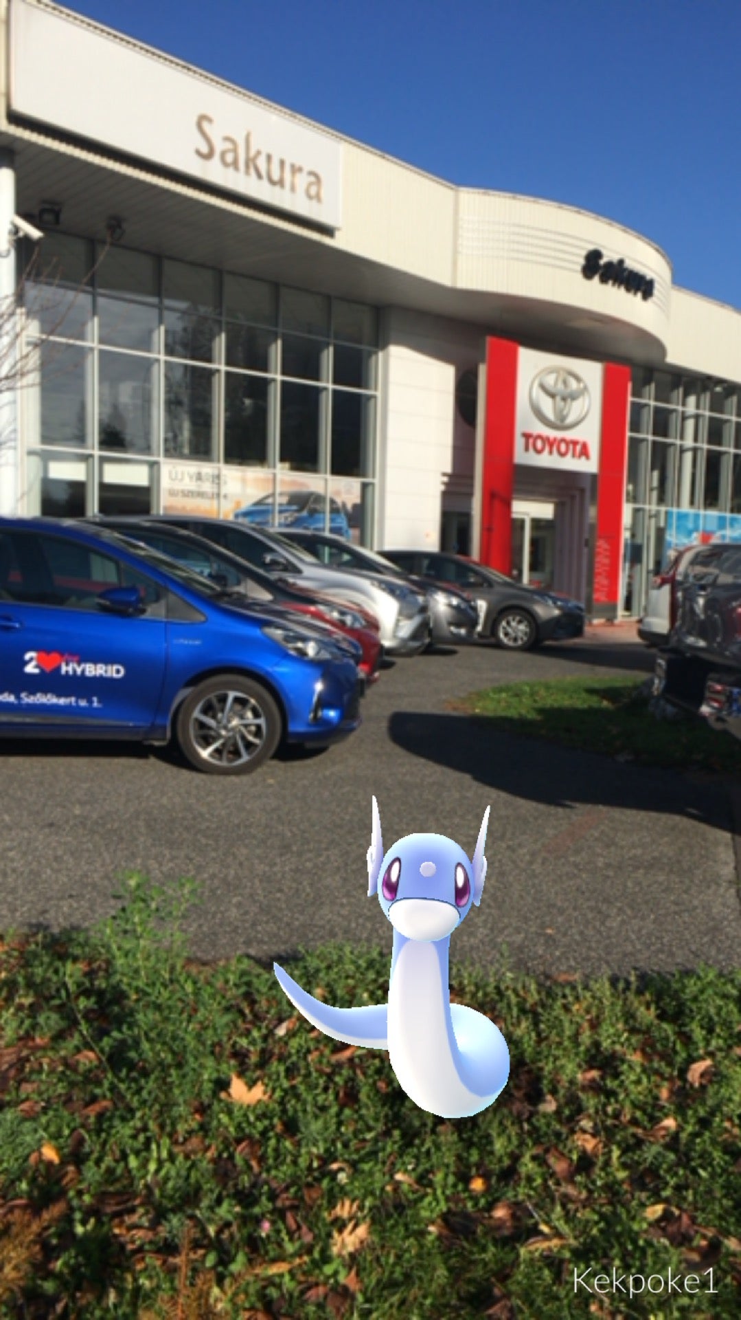 automotive-shop