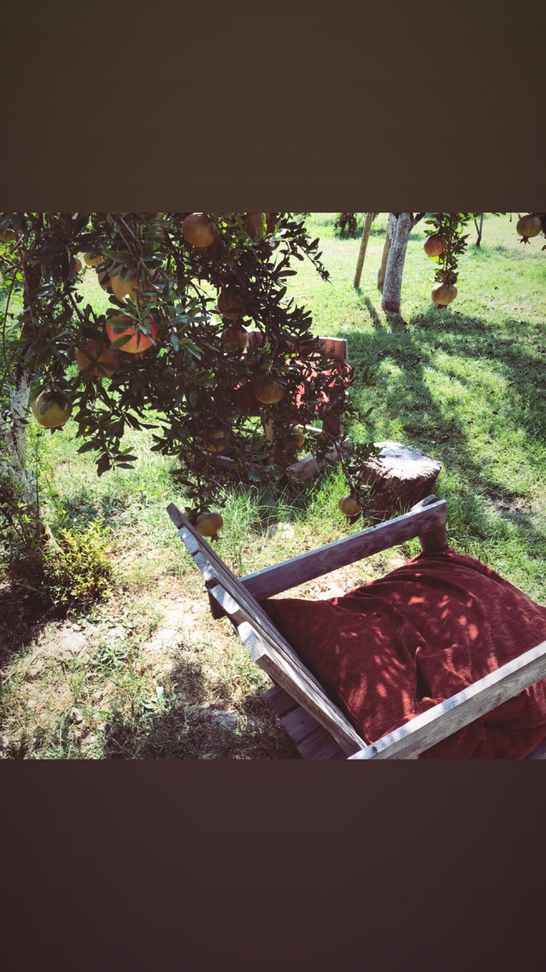 breakfast-spot