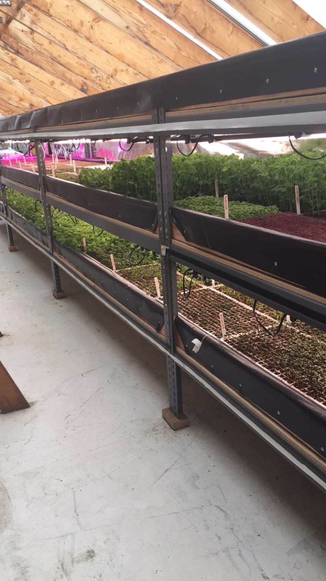photo of Upward Farms Farmlab