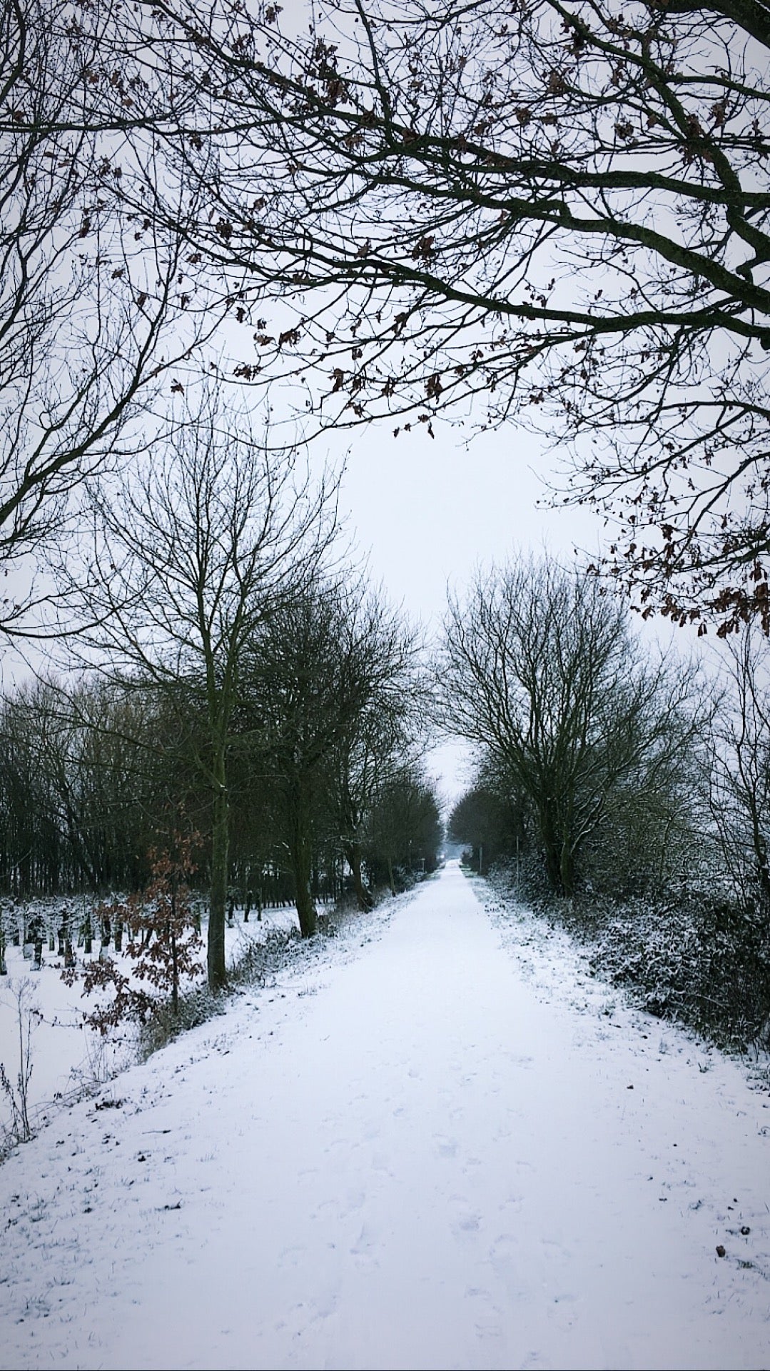 bike-trail