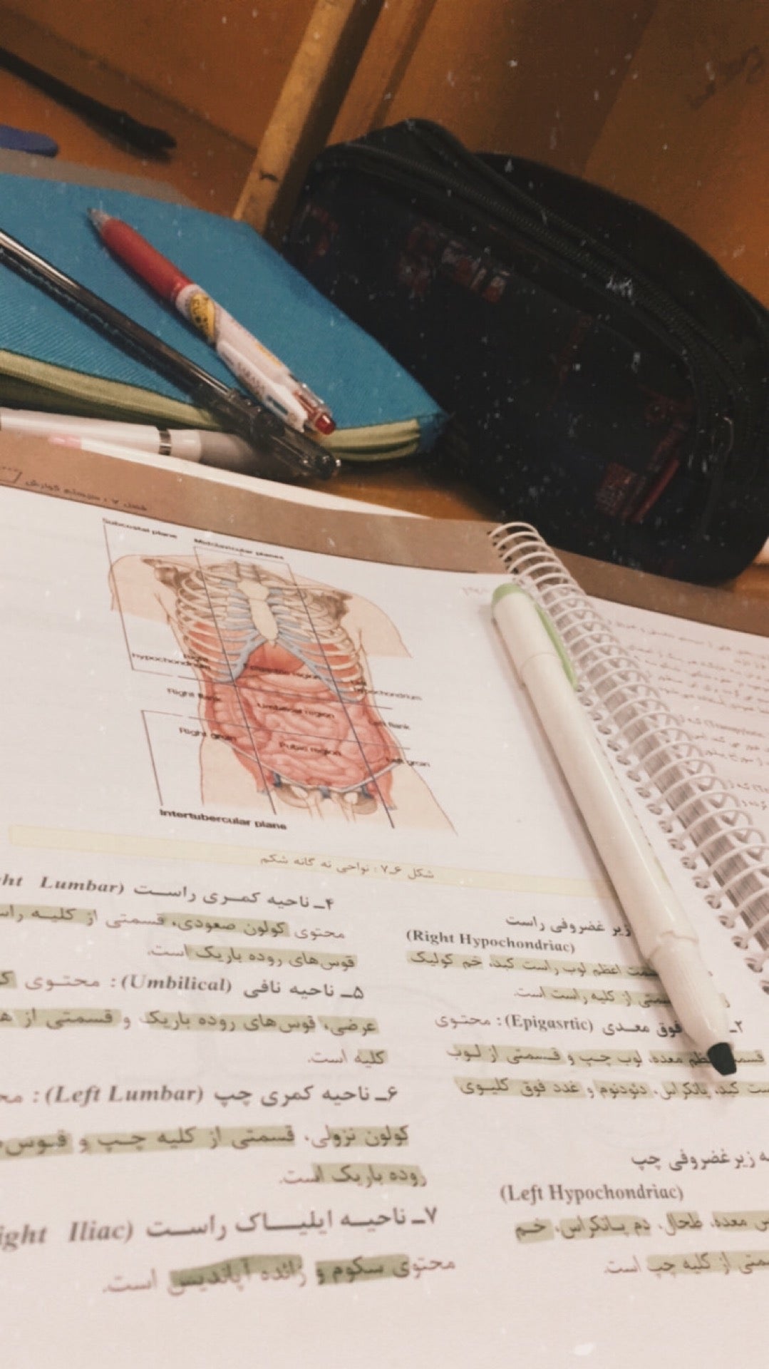 college-library