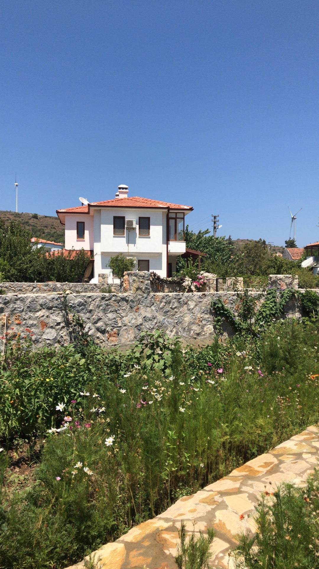 farm