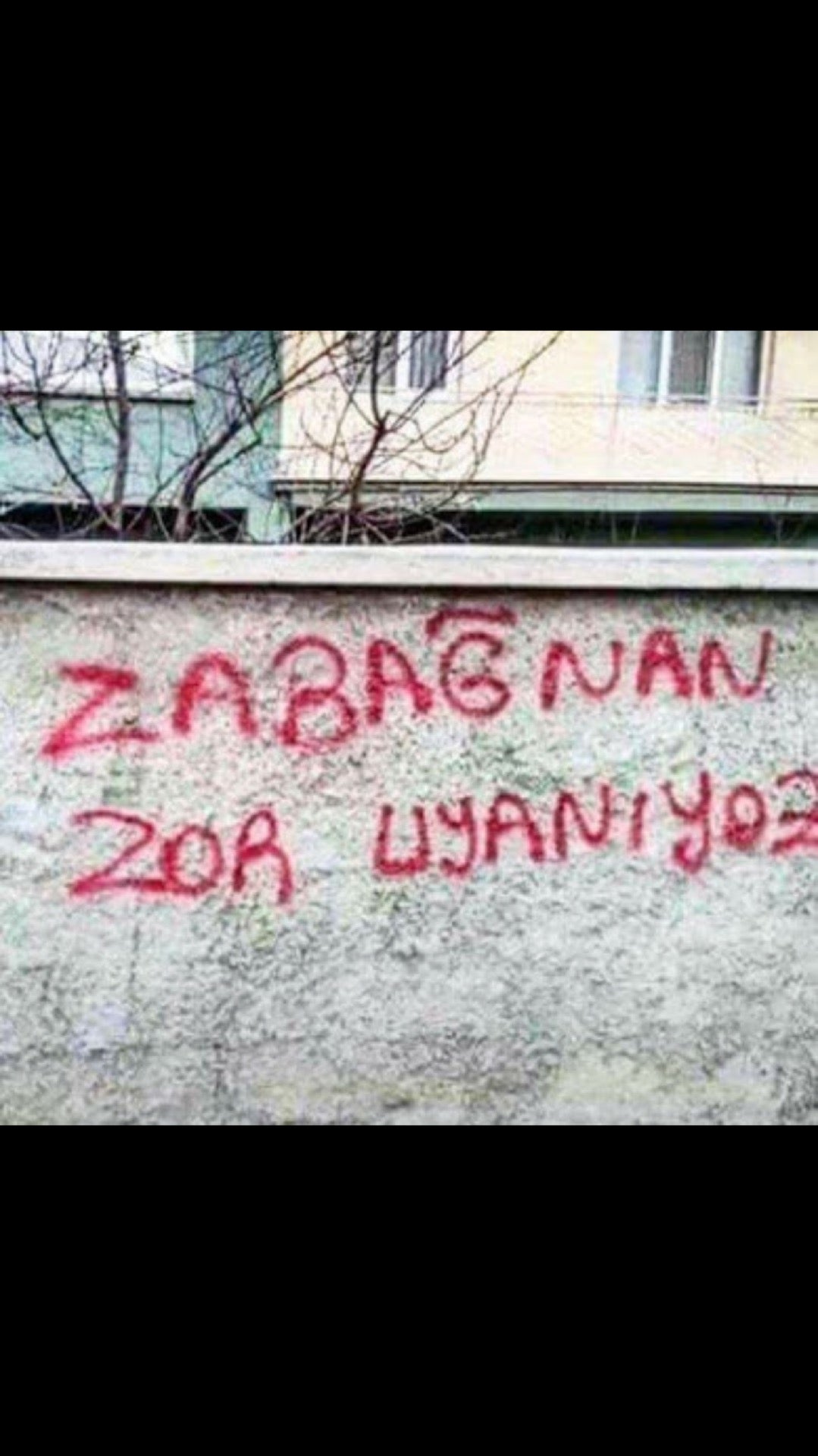 car-wash