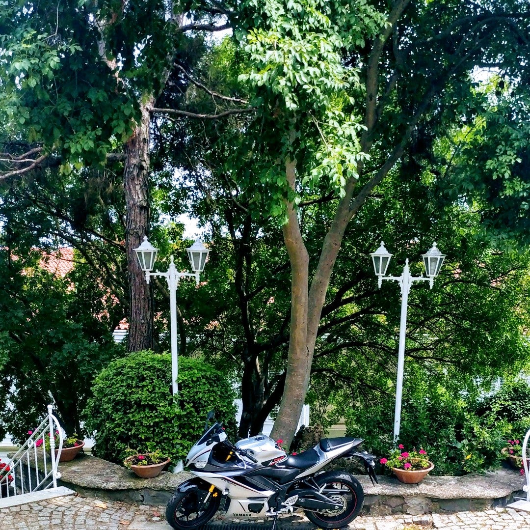 park