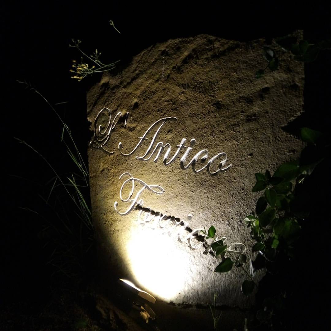 italian-restaurant