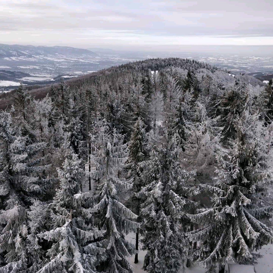 mountain