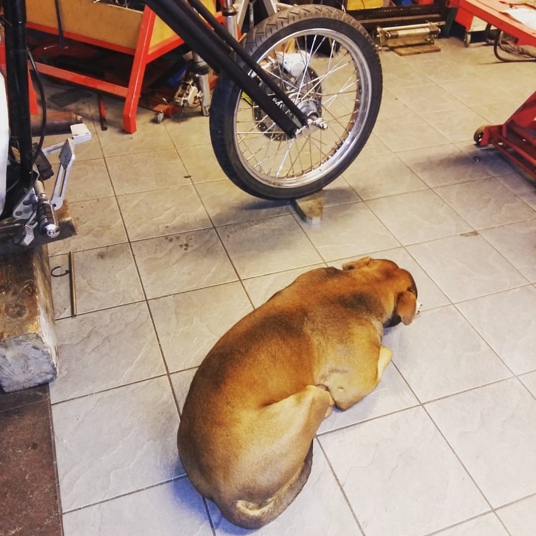 motorcycle-shop