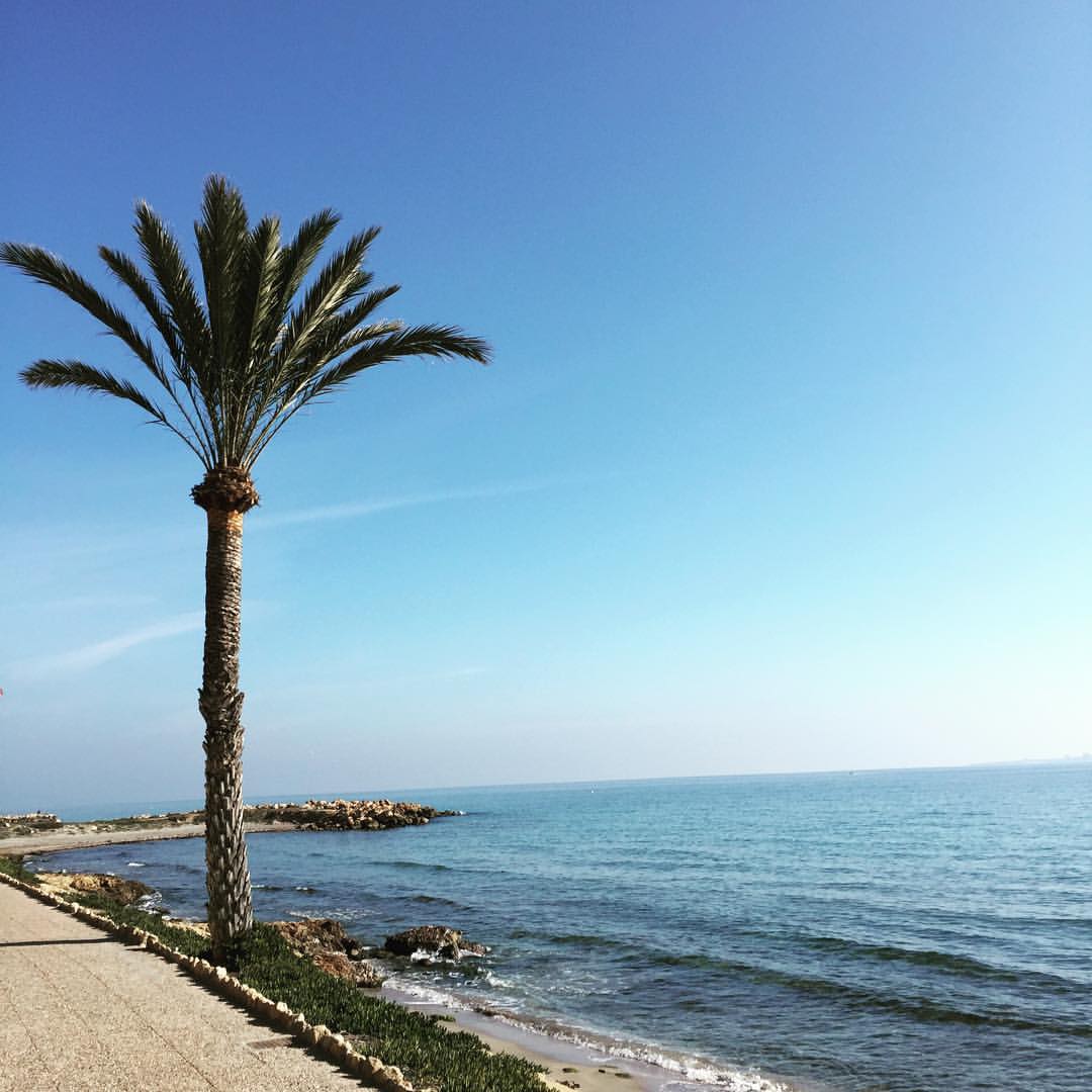 beach