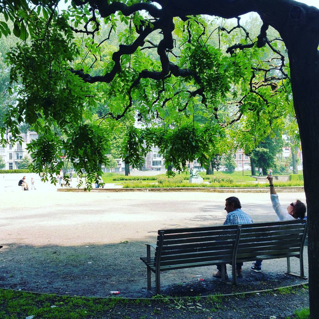 park