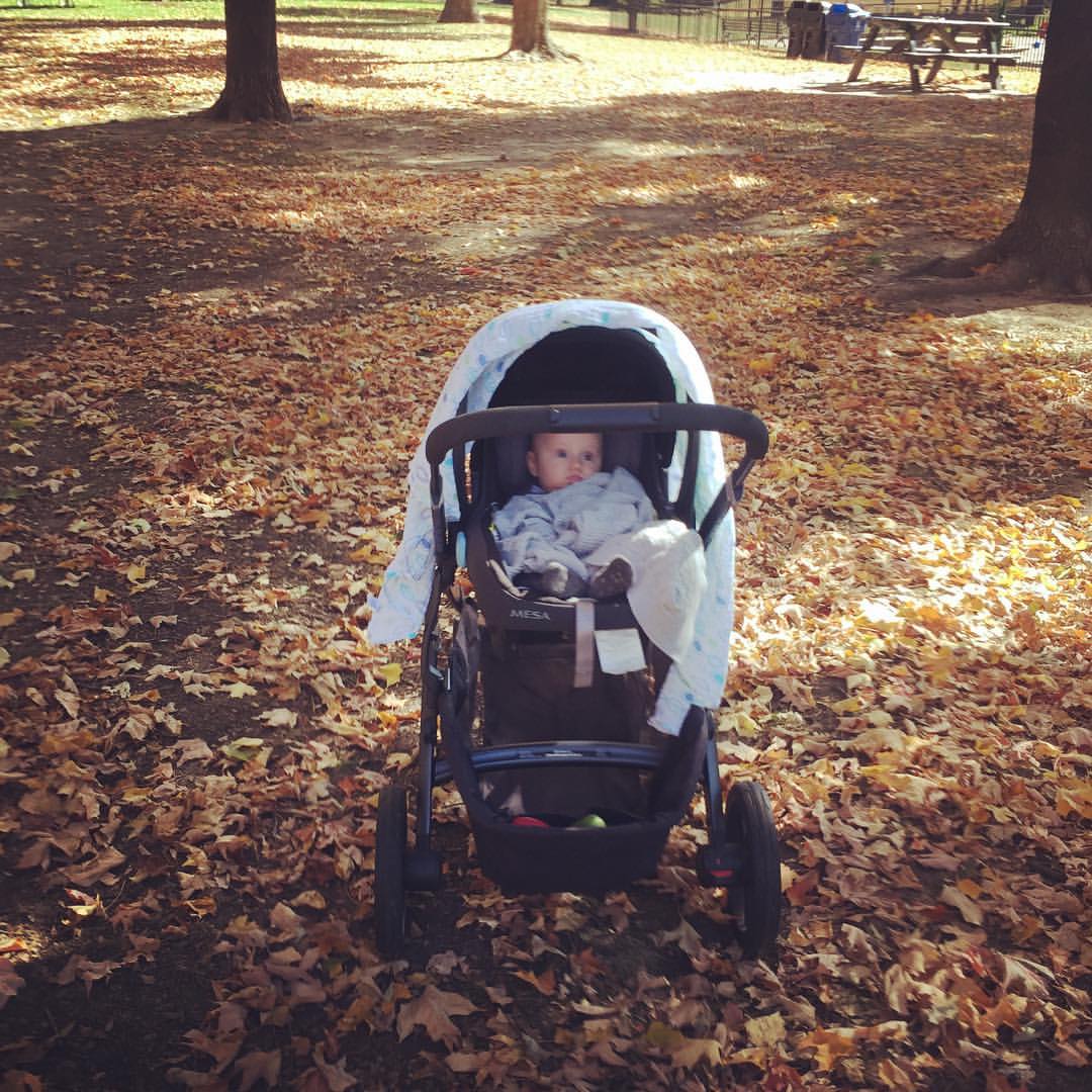 park