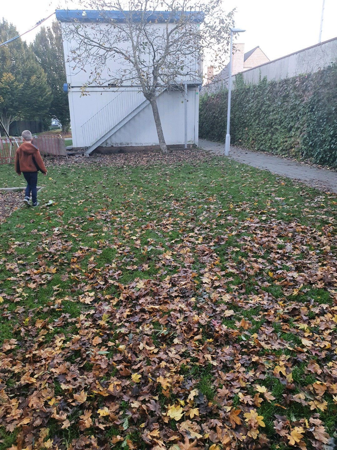 elementary-school