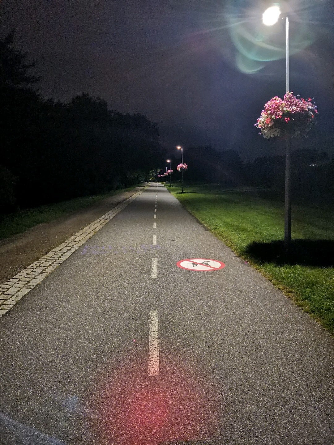 trail