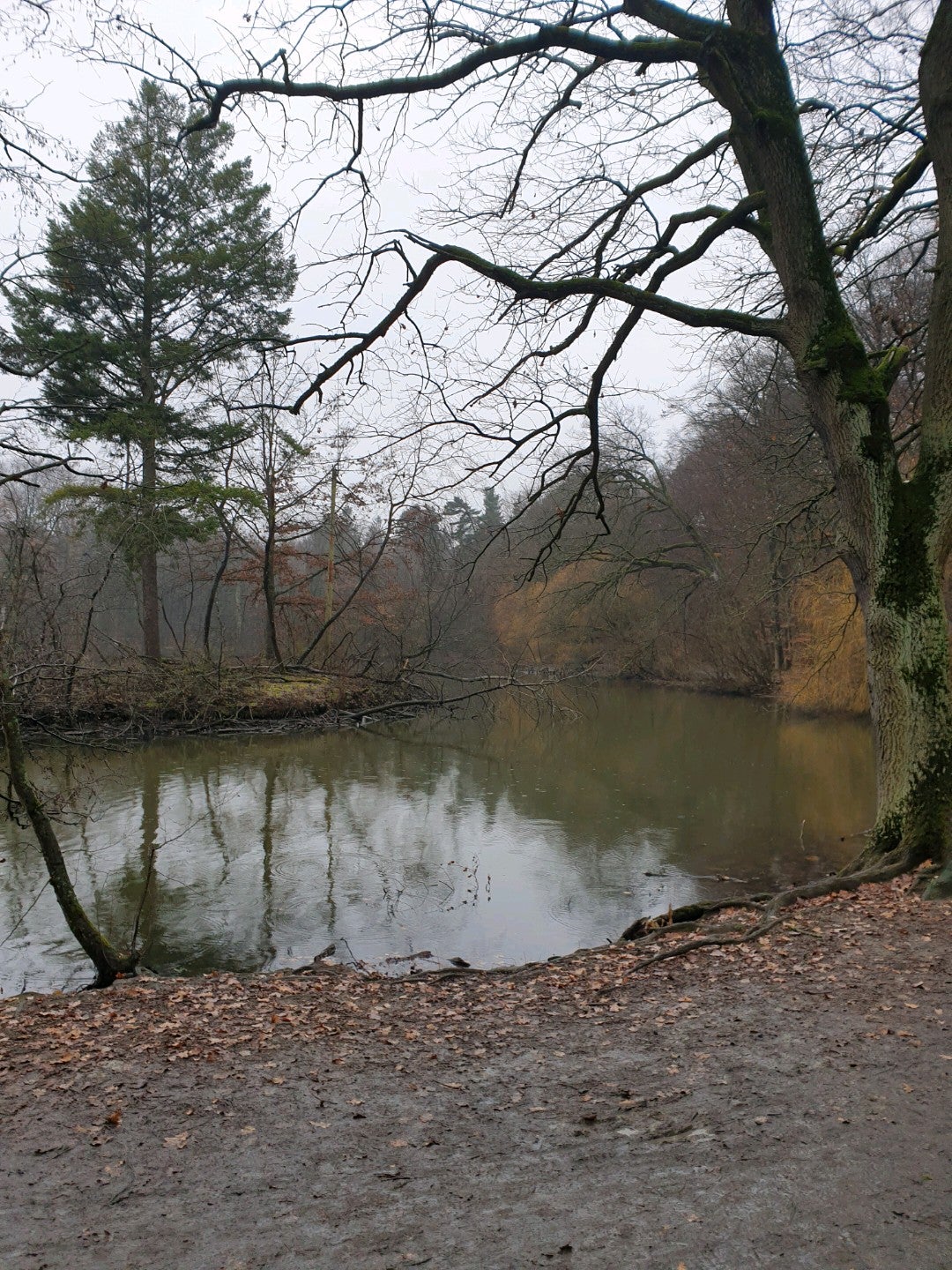 lake