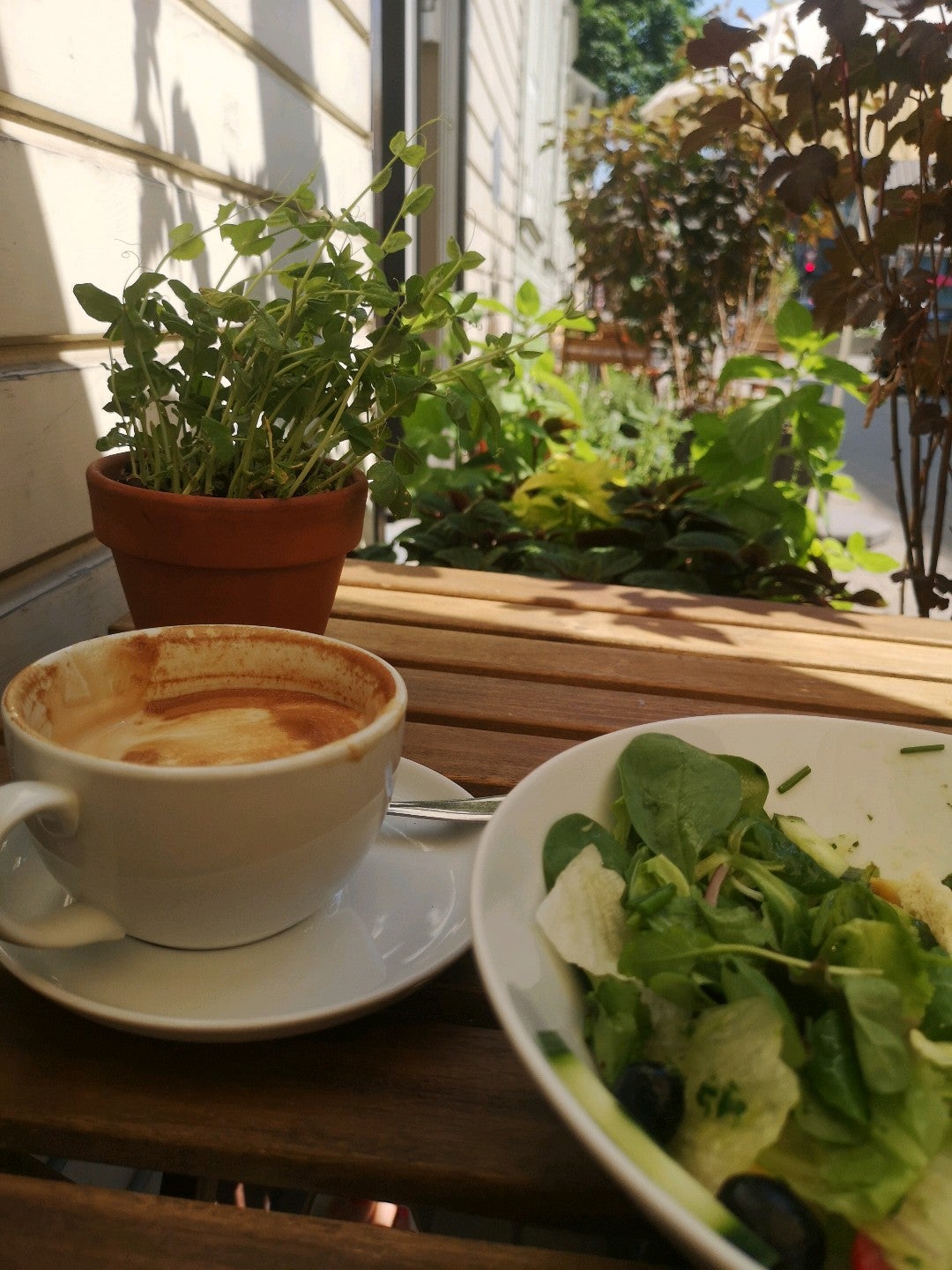 vegetarian-vegan-restaurant