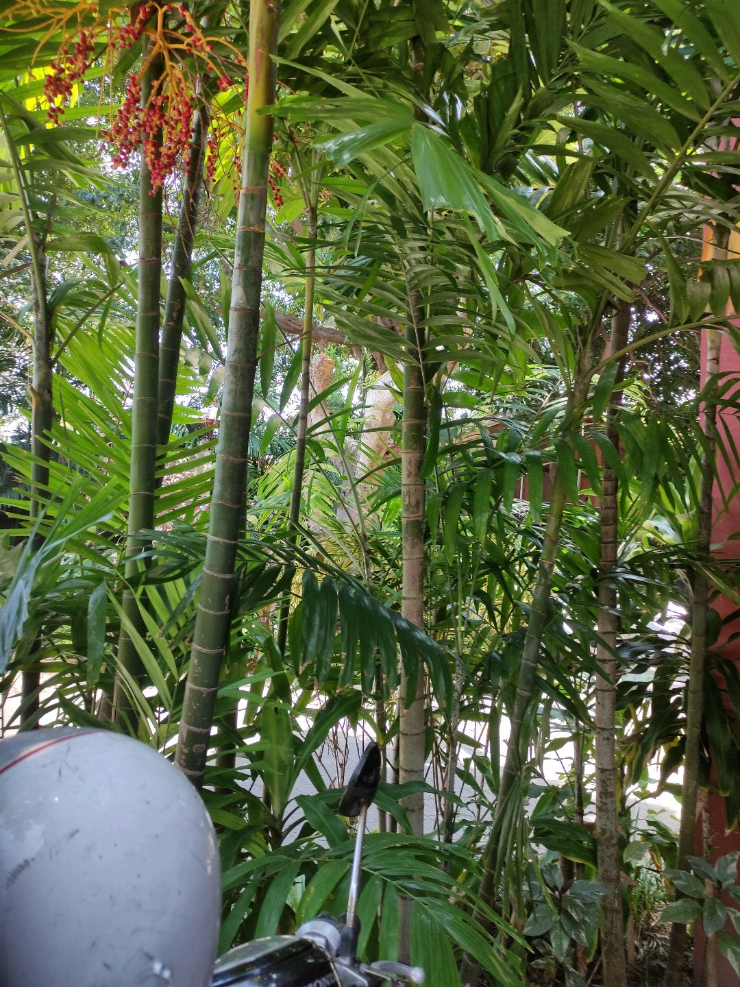 resort