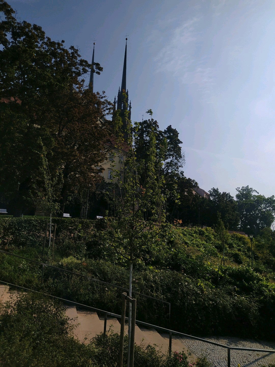 hill