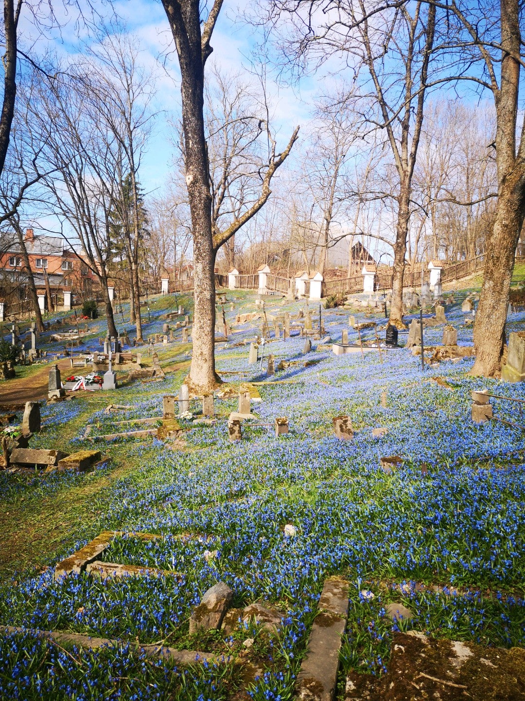 cemetery