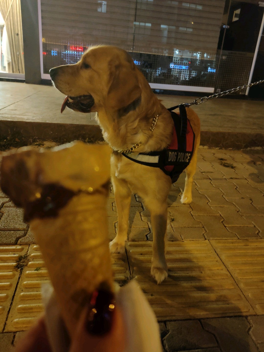 ice-cream-shop