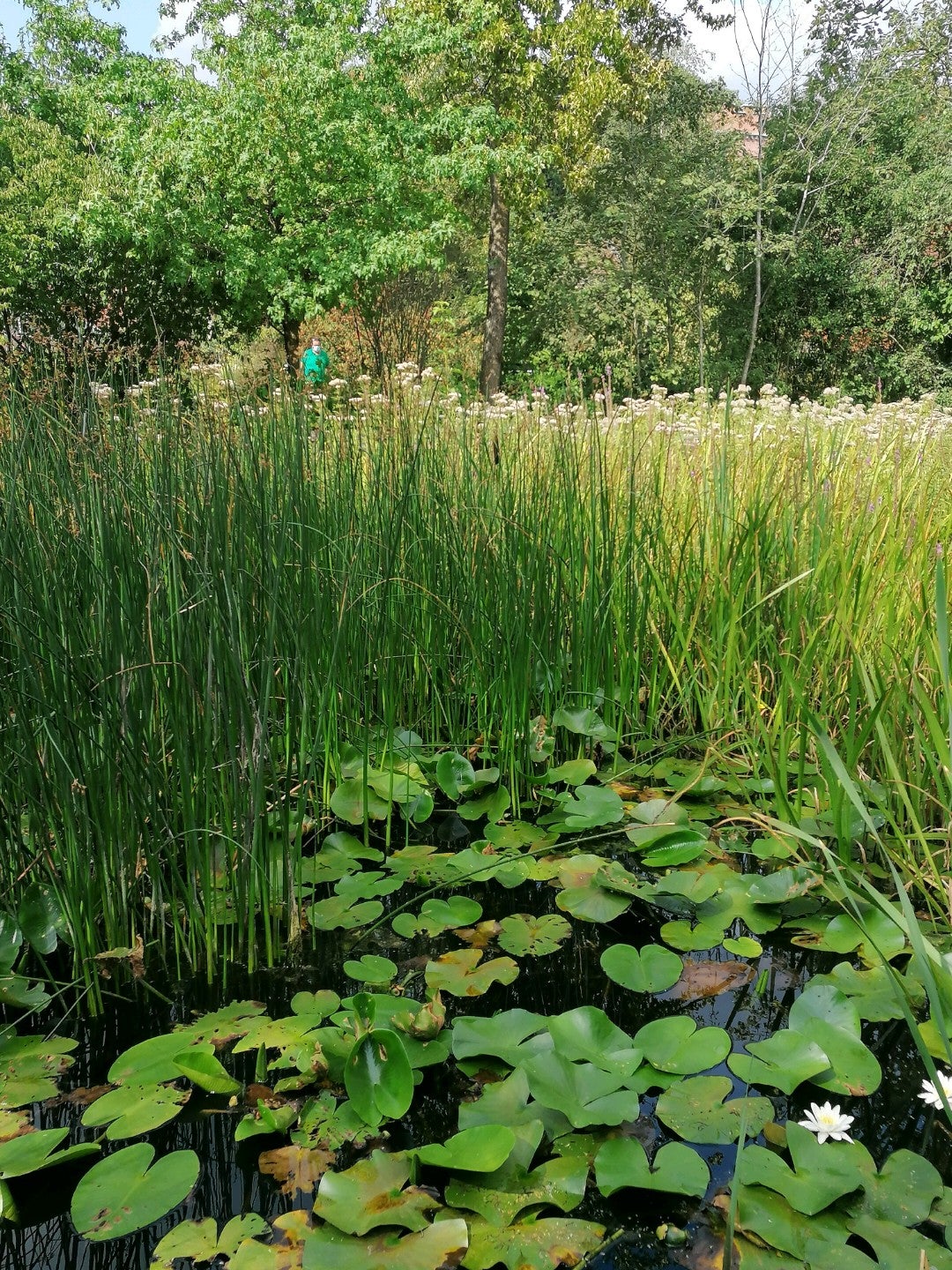 botanical-garden