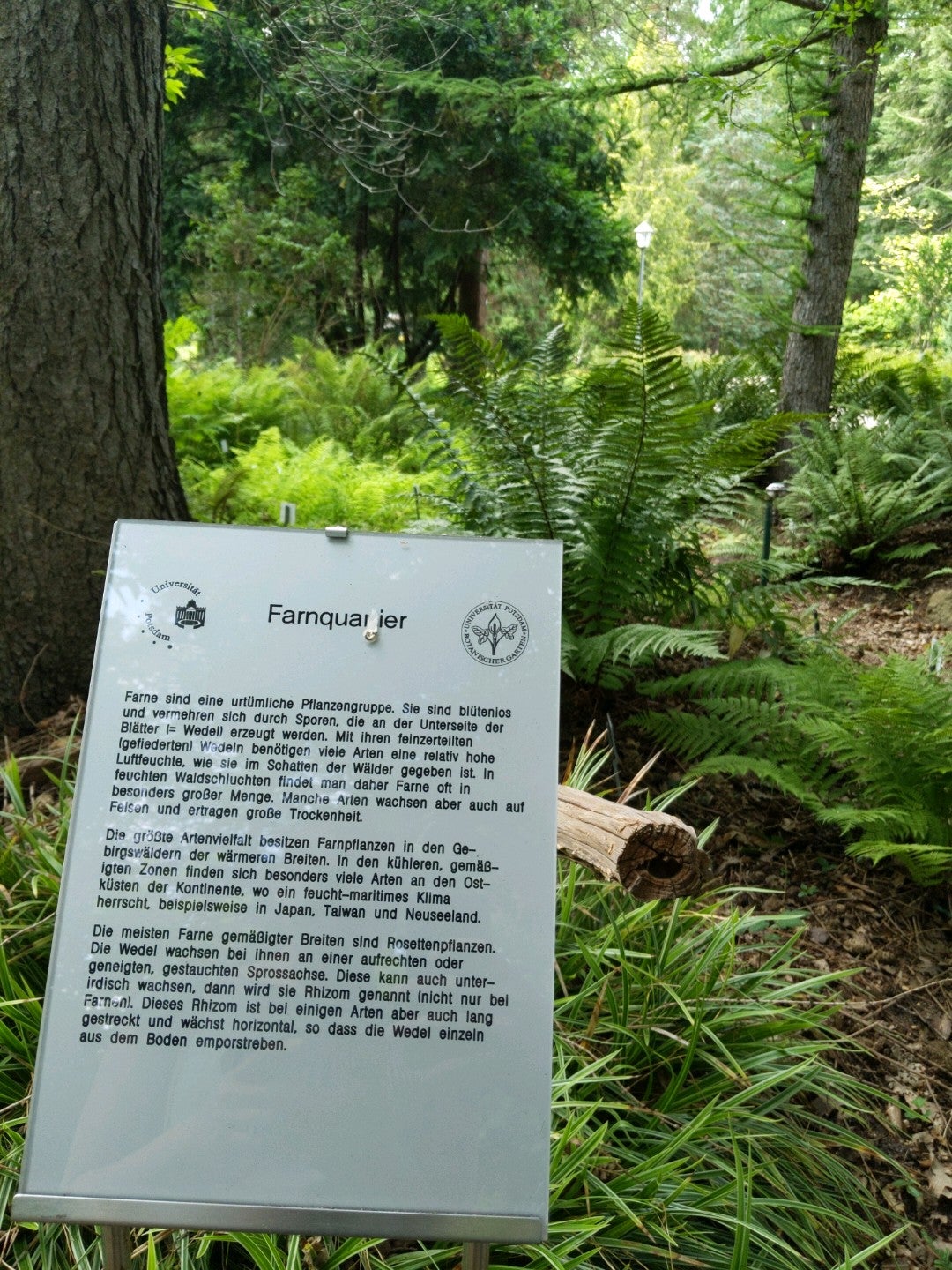botanical-garden