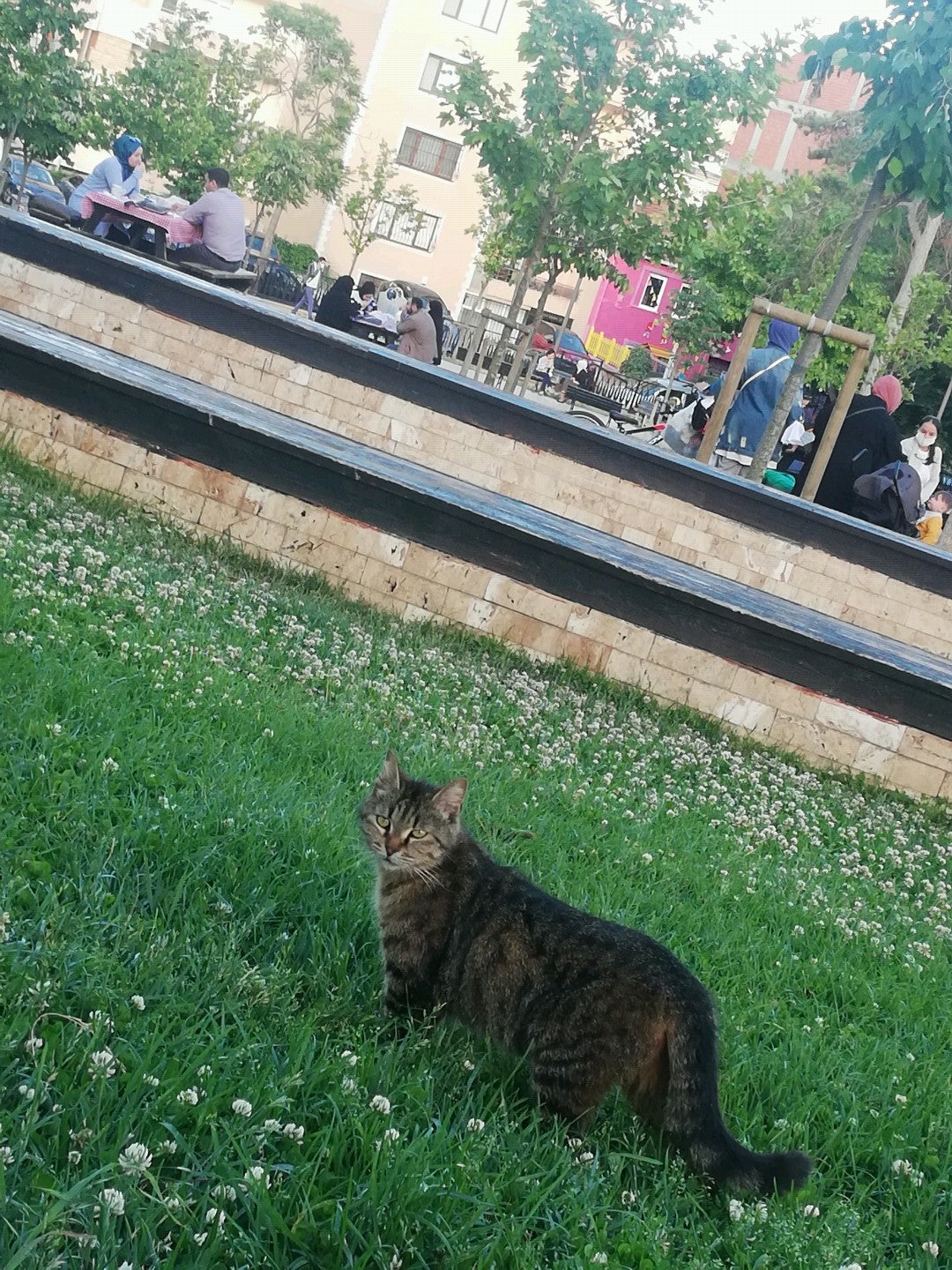 park