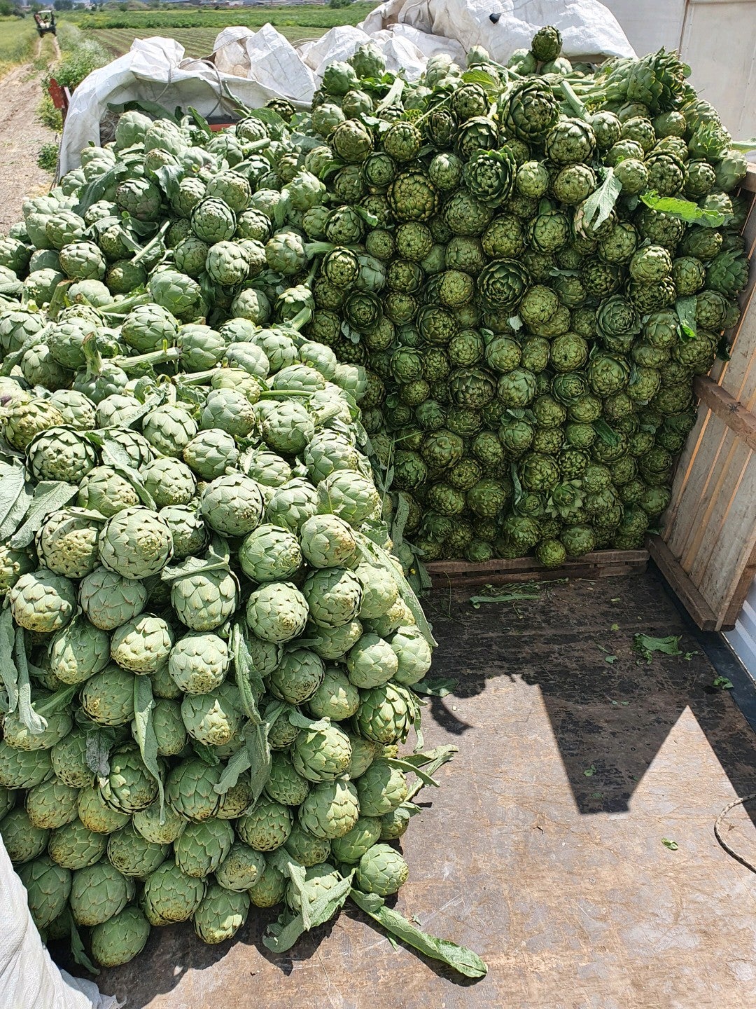 farmers-market
